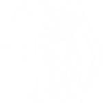 breadcrumb-illus-1-150×150